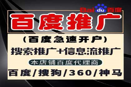 揭秘百度竞价广告：实战案例分析及优化策略